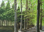 Ik ben verbonden met Pictura Gelria, een schilderscollectief dat elke week buiten schildert in de provincie Gelderland. Plein-air wil zeggen een landschap schilderen in één sessie in de open lucht. Dit zijn kleine formaten , 24 x 30 cm.