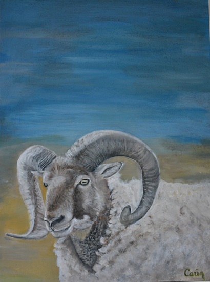 The Castlemilk Moorit