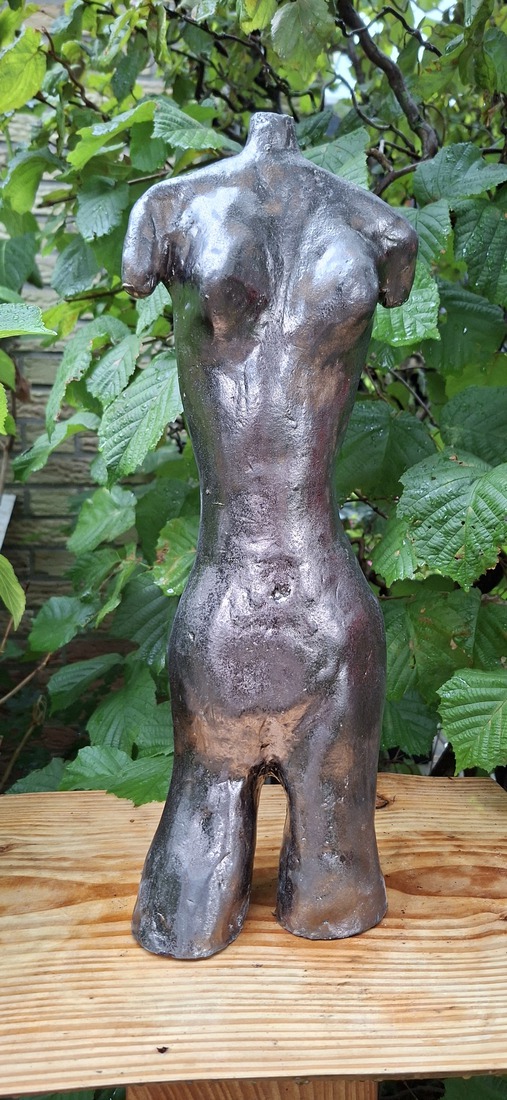 Torso