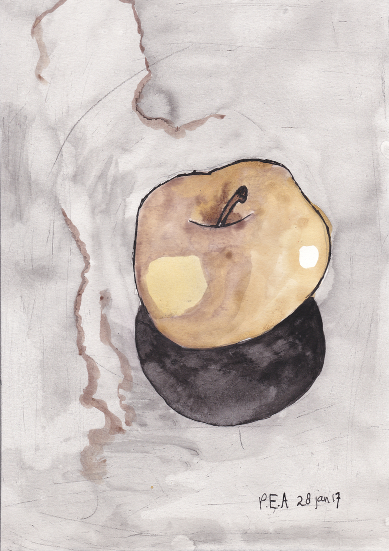 Dag 34 - 28 januari 2017