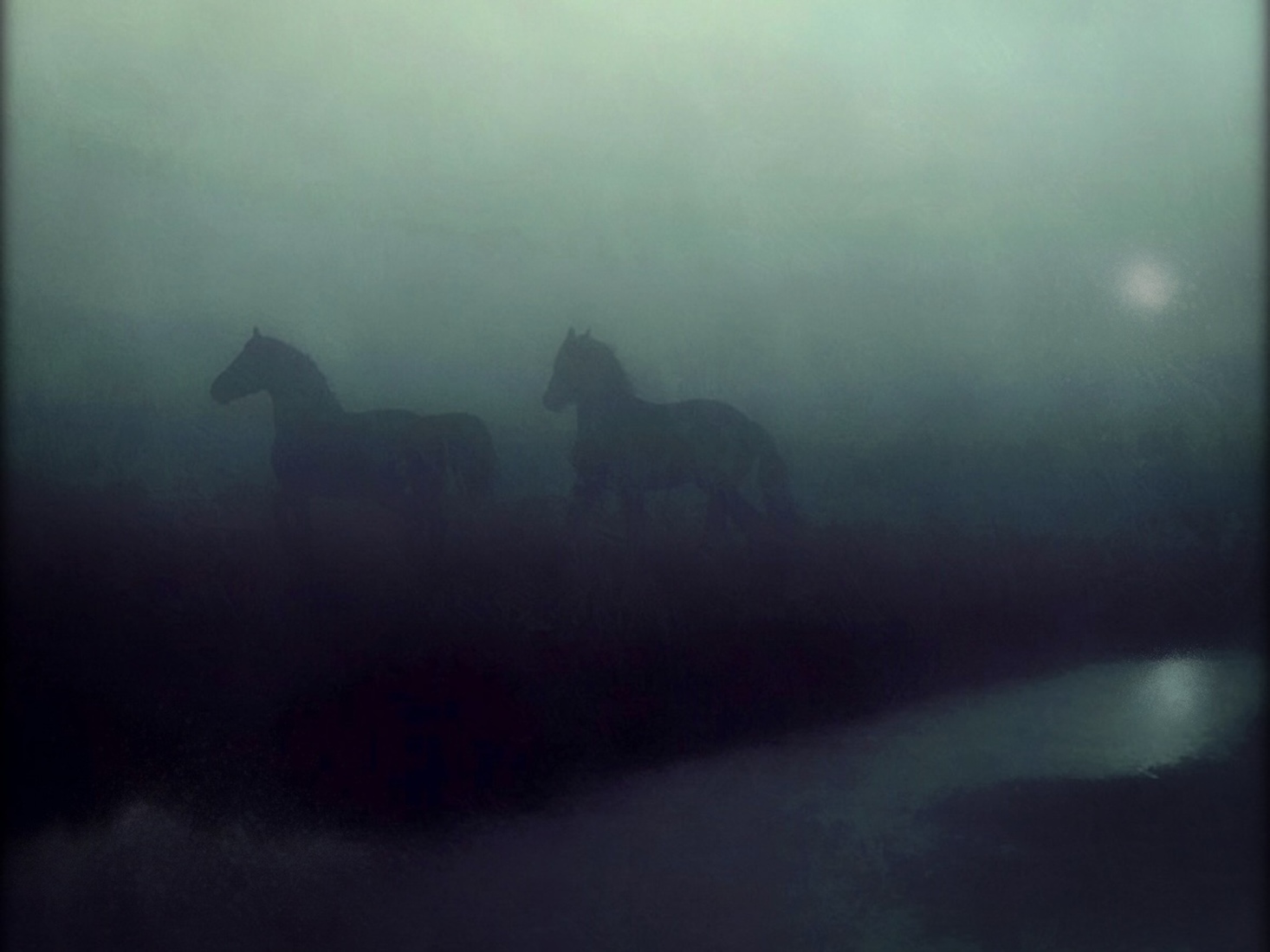 Paardjes in de mist