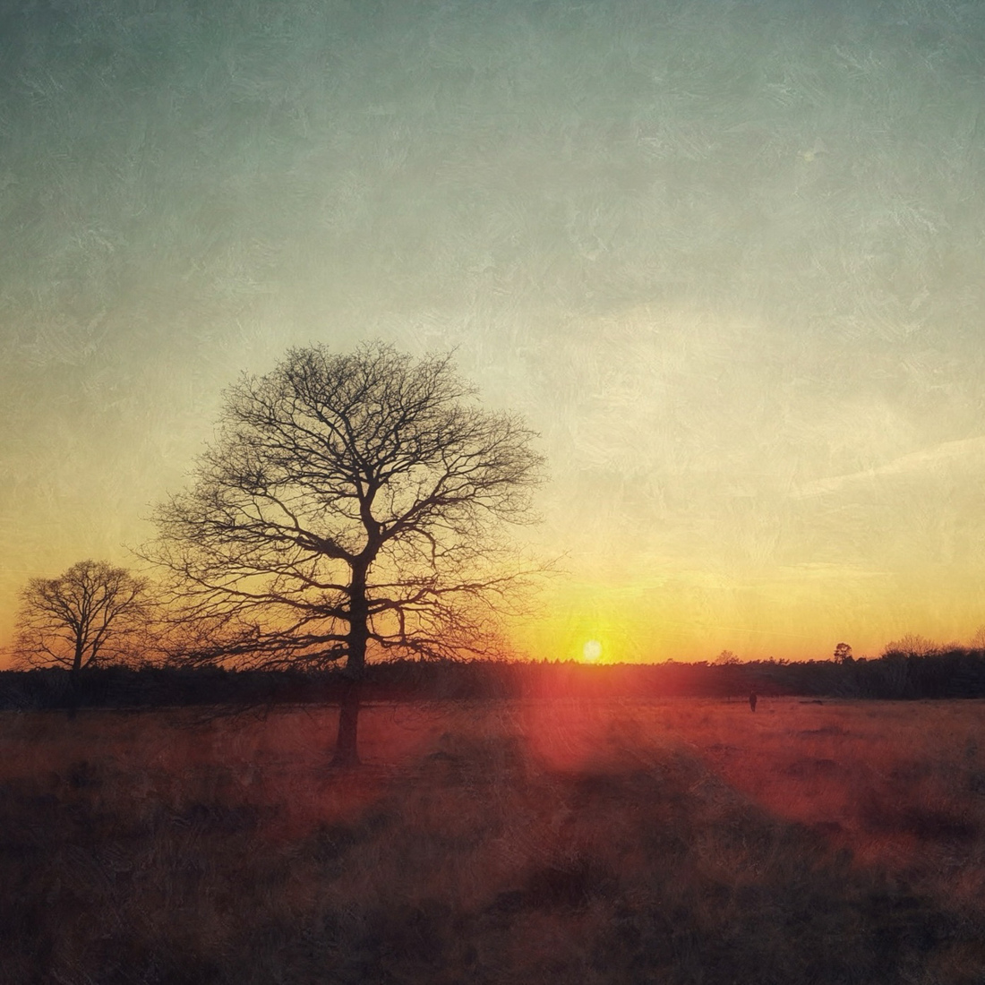 Heide zonsondergang