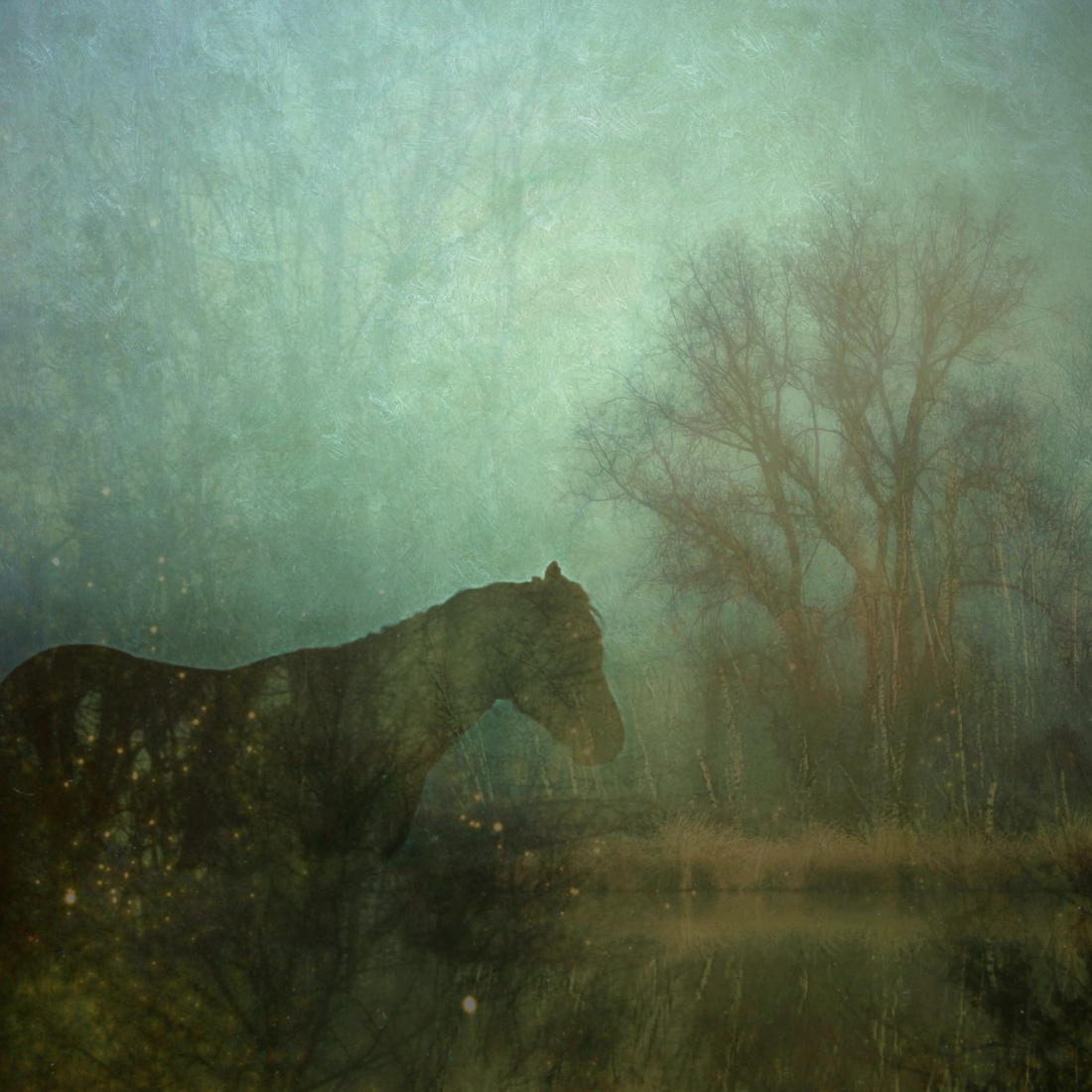 Paard in blauw