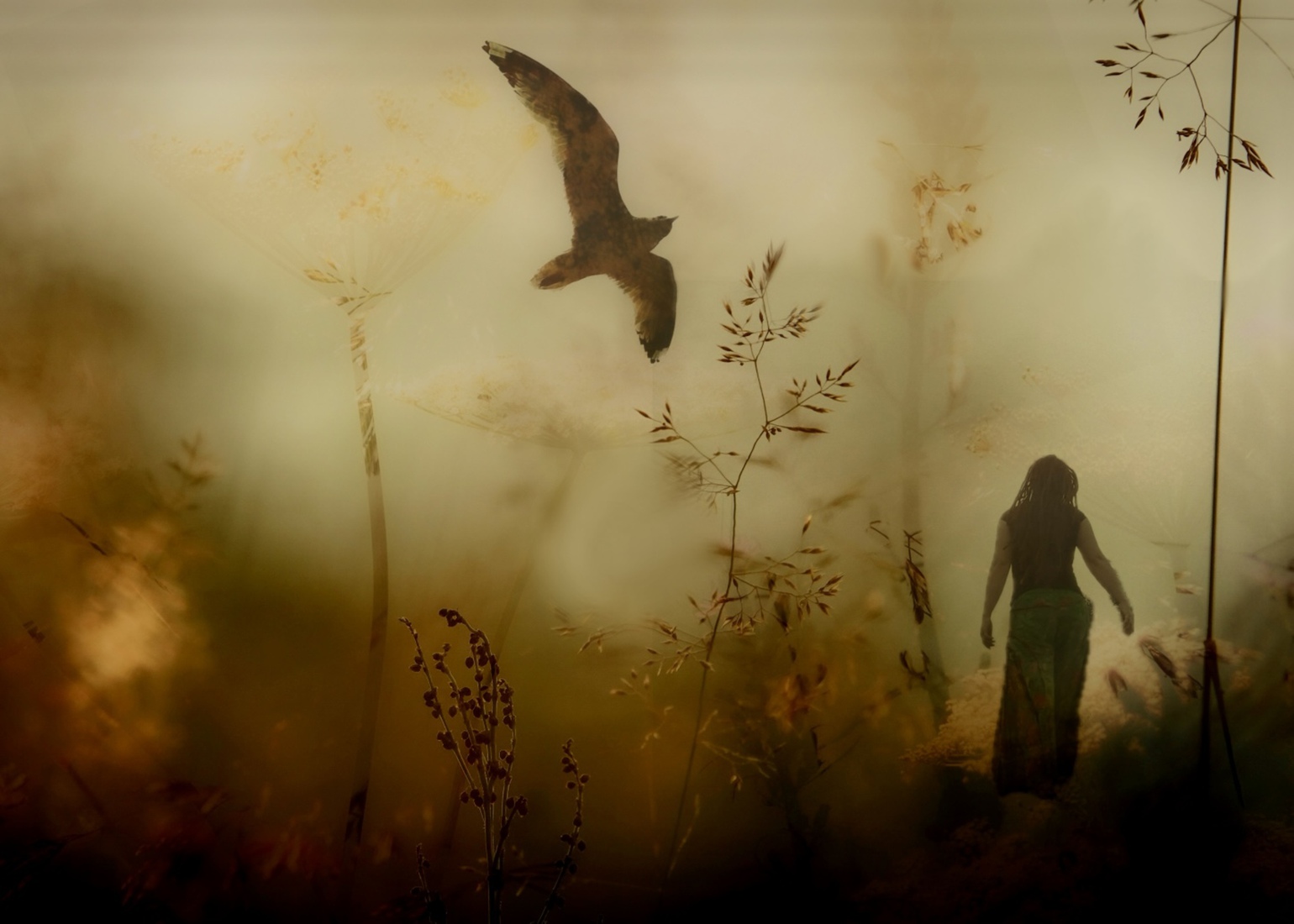 Vrouw en vogel