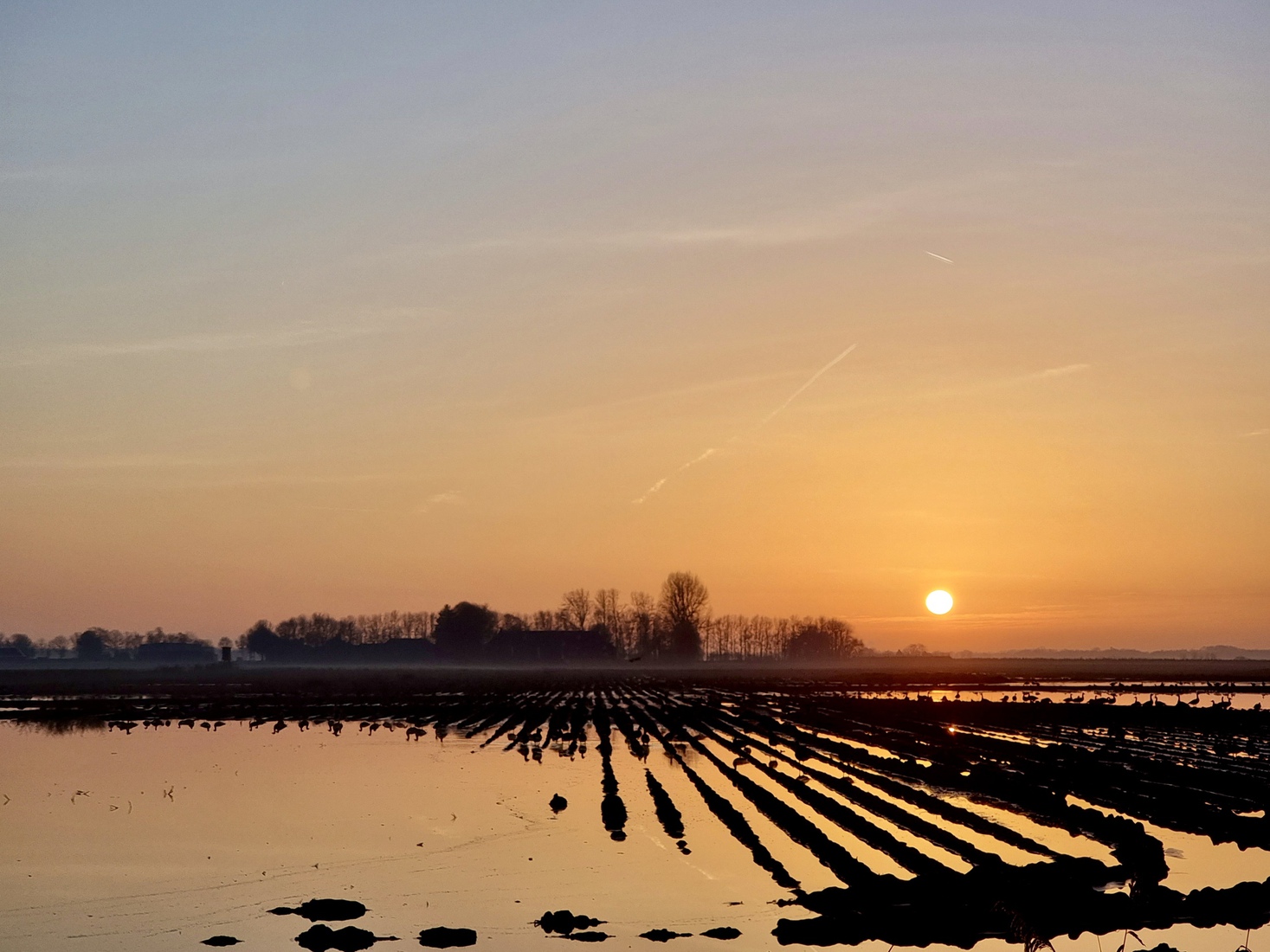 Zonsondergang
