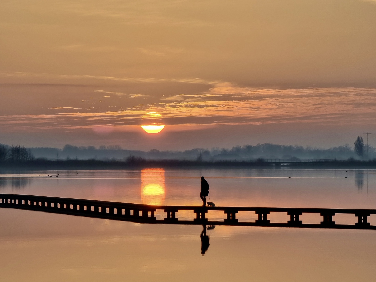 Het Dannemeer, Roegwold, Groningen