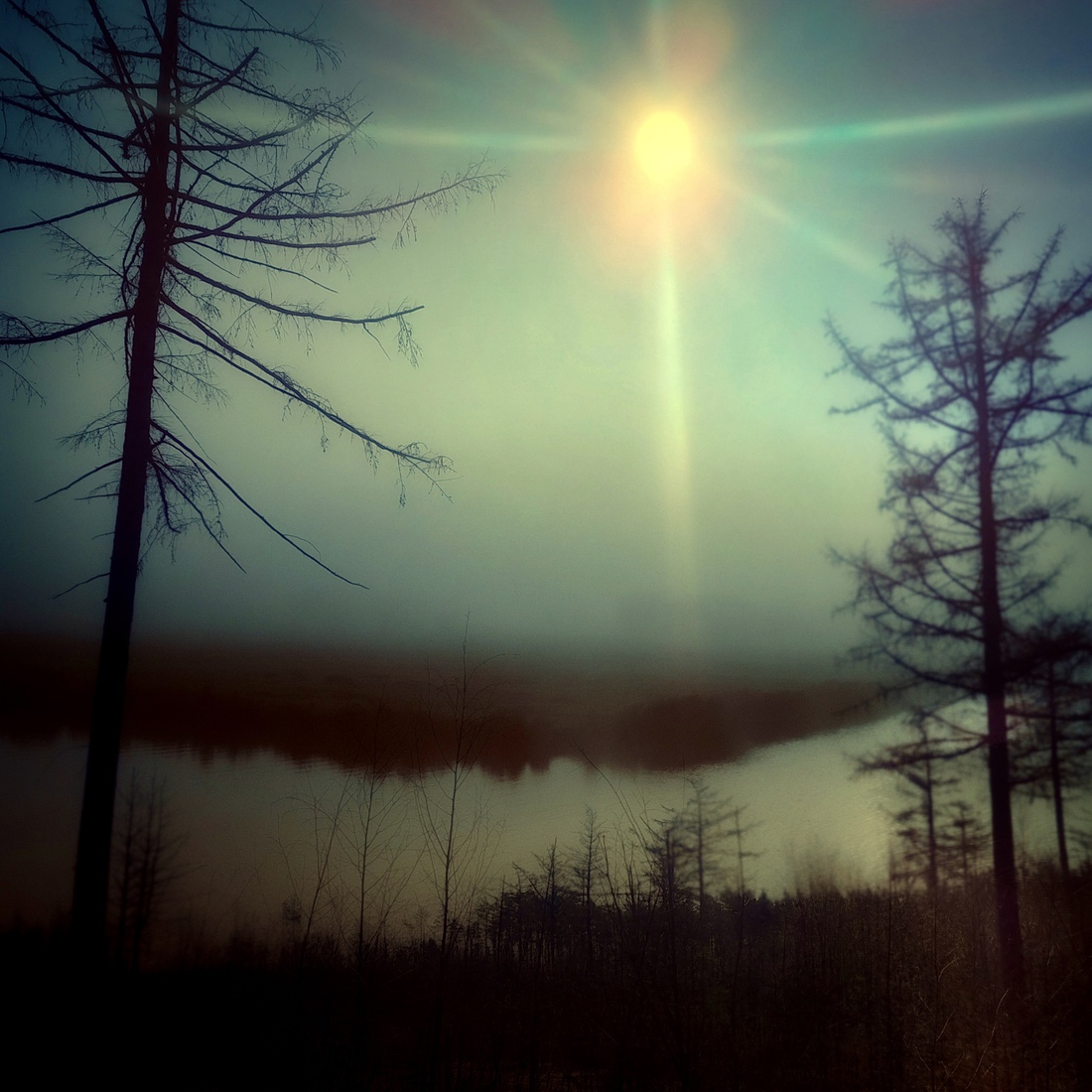 Maanlicht