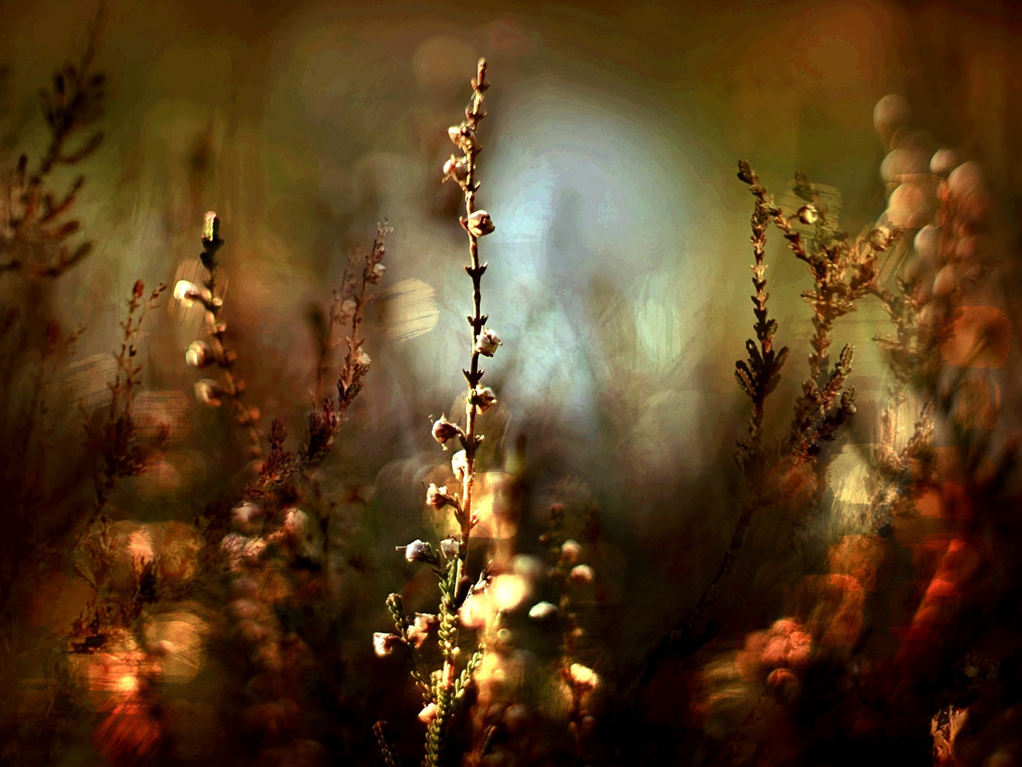 Bloemen in bos