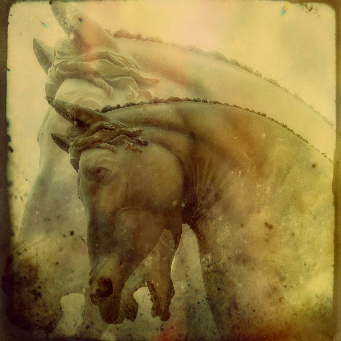 Droompaard