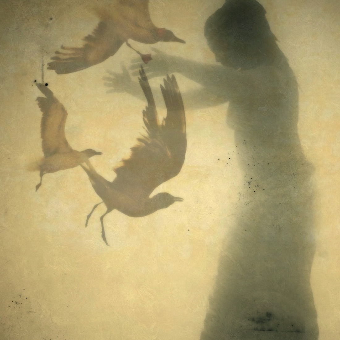 Vogeldans
