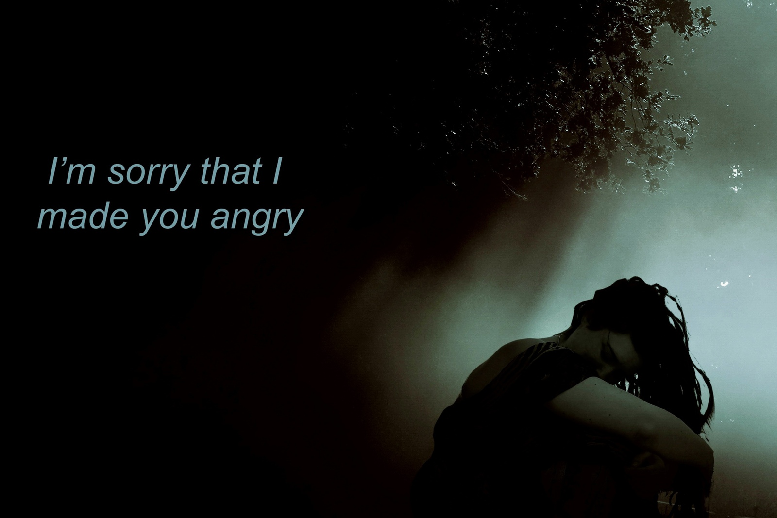 Sorry I made you angry