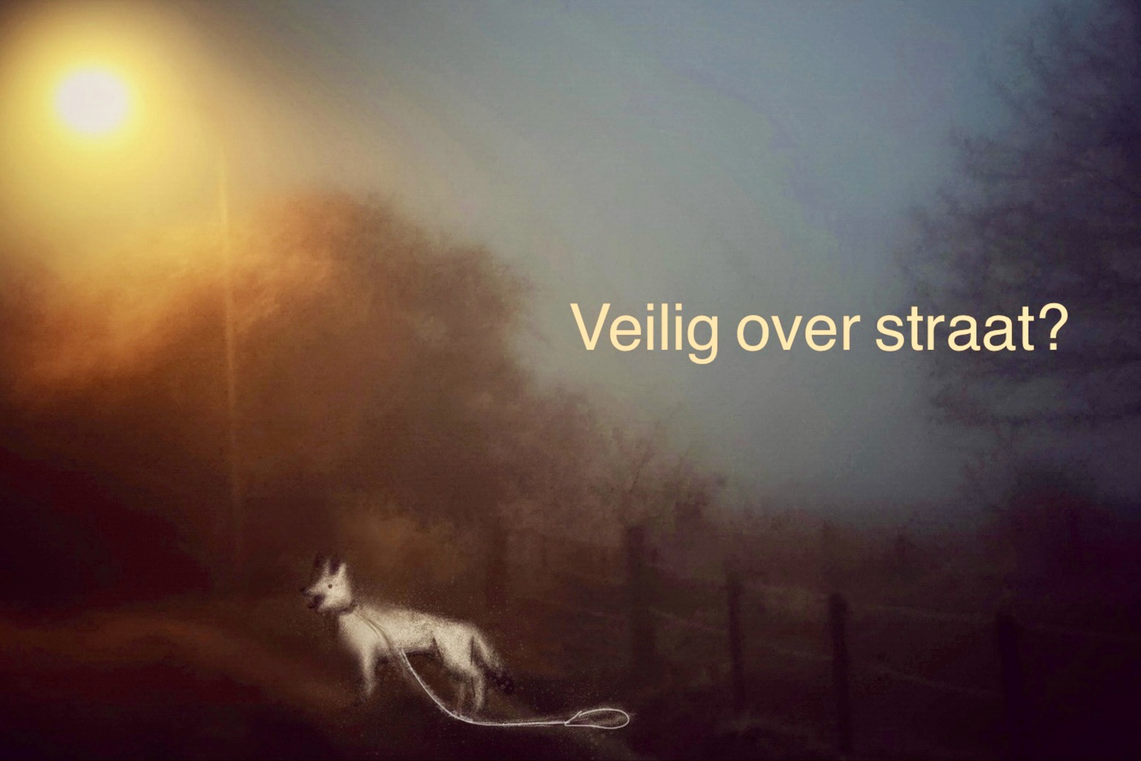 Veilig over straat?