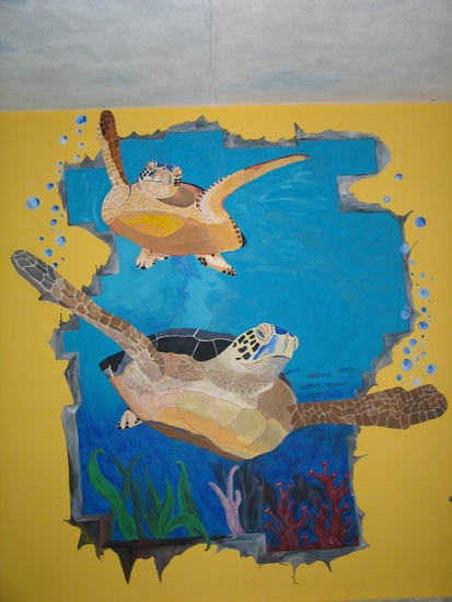 schildpadden