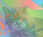 Deze groep bestaat uit eigen foto's die ik digitaal bewerkt heb.