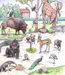 Illustraties gemaakt voor diverse doeleinden.