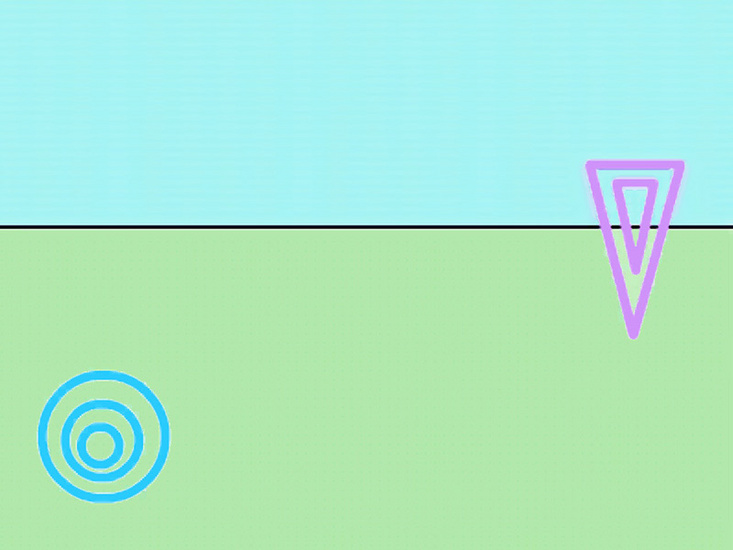 A Cat Cannot Fall In Love With A Raccoon