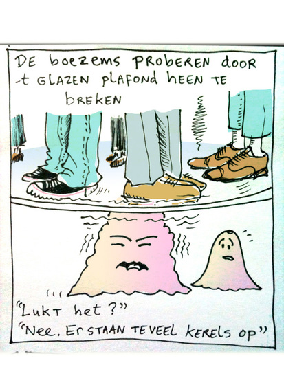 De Boezems strip nr.24