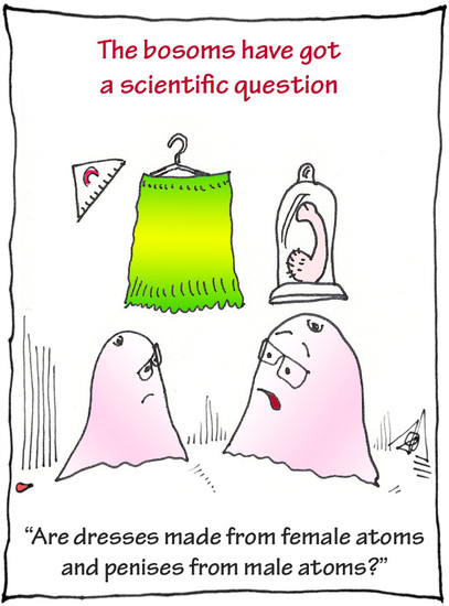 De Boezems strip nr.172