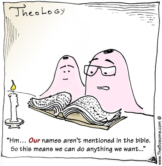 De Boezems strip nr.44