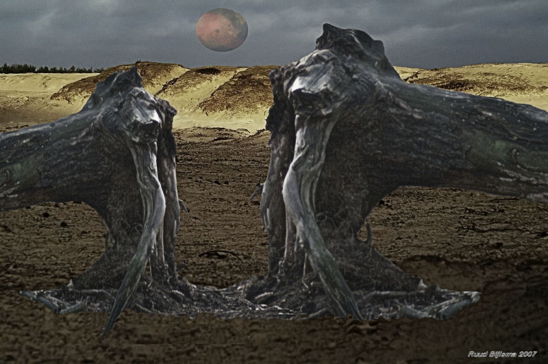 Desert confrontation.