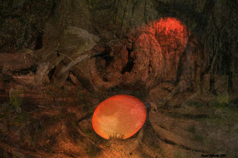 What breeds in the darkness.