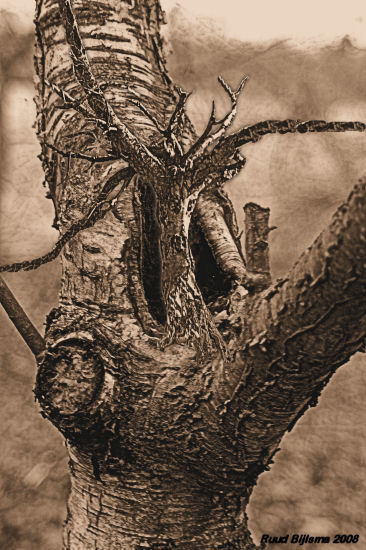 Big tree eats little one.