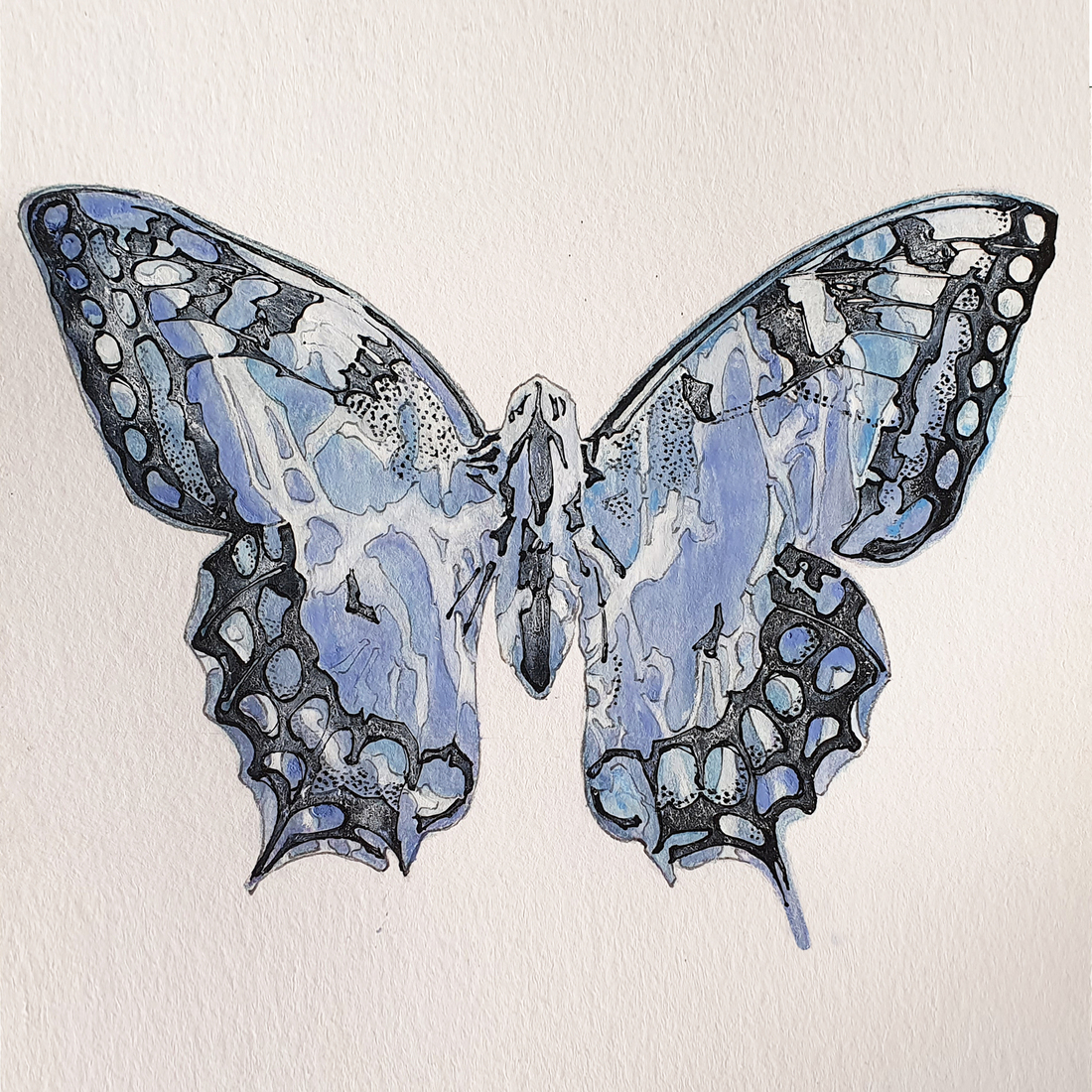 (2021 14 S) Butterfly 02