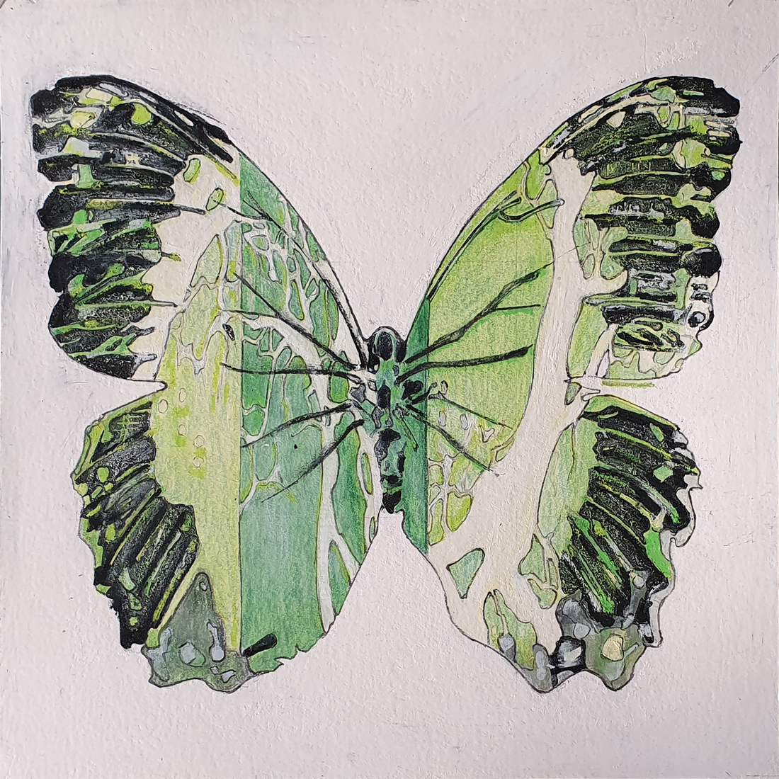 (2021 16 S) Butterfly 04