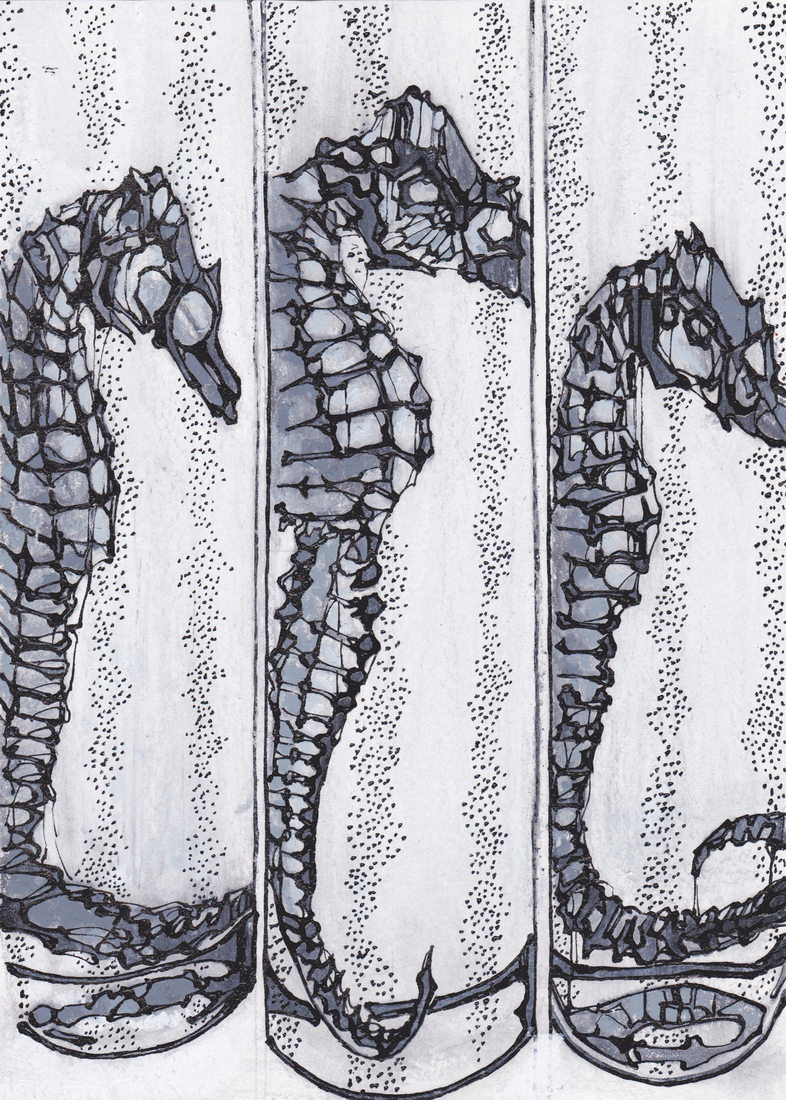 (2018 41 S) Seahorses