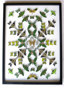 Voor zijn CAN ART maakt Vahero gebruik van gerecycleerde drankblikjes (