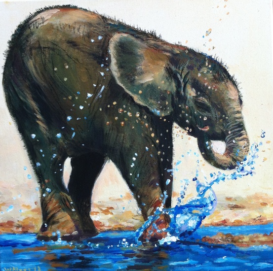 jong olifantje neemt bad