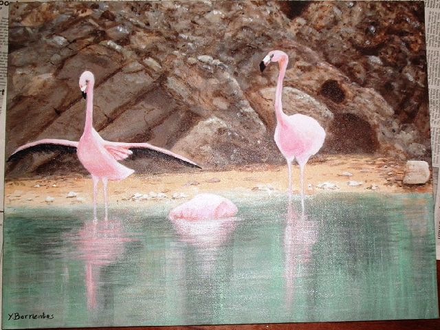 Flamingo's on Gotolake