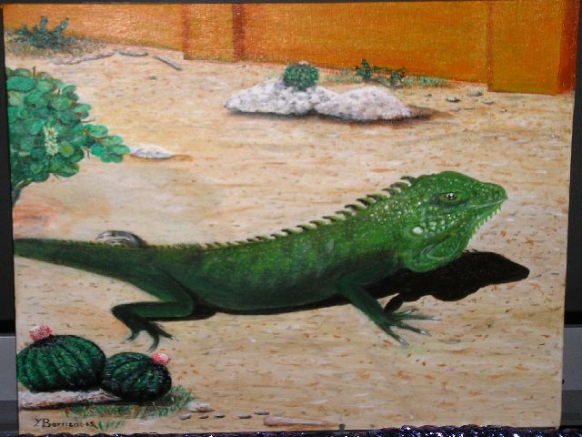 Proud Iguana