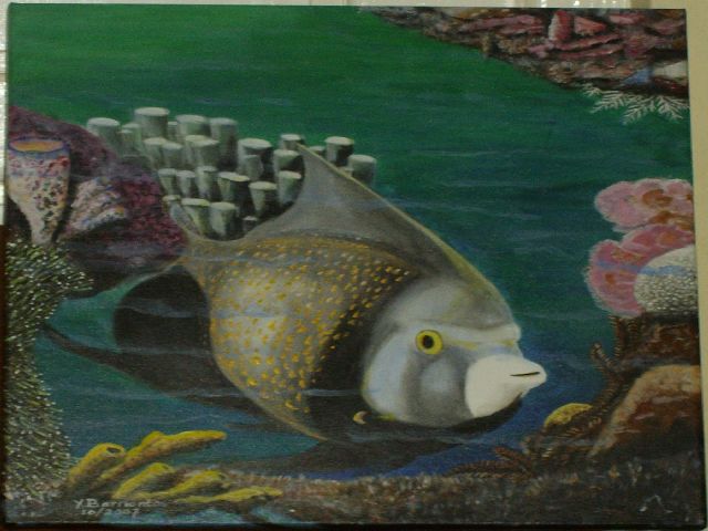 In the reefs