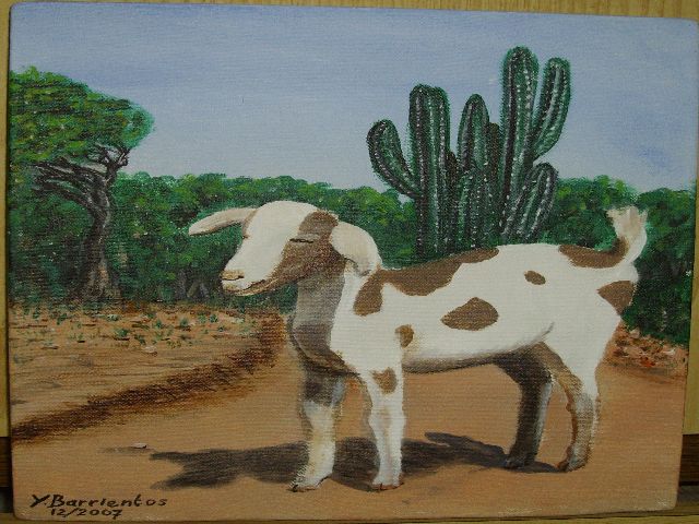 Kabritu