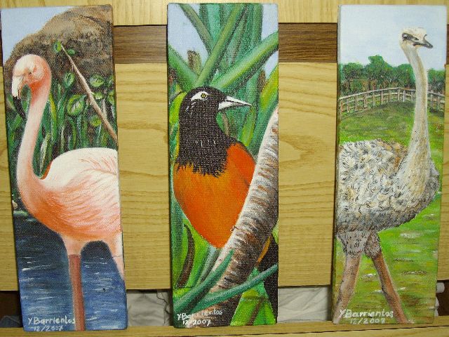 Three birds