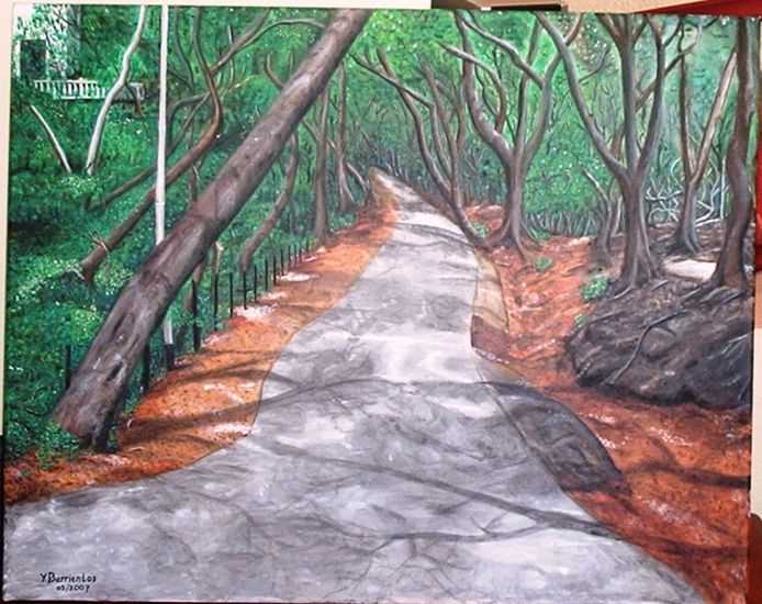 In the Woods