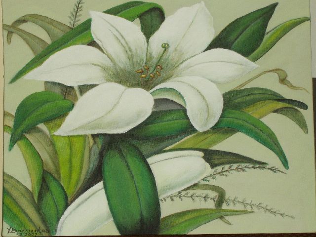 Lily of the Valley