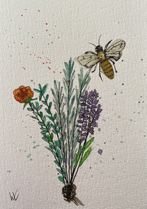 Tekeningen met aquarel 