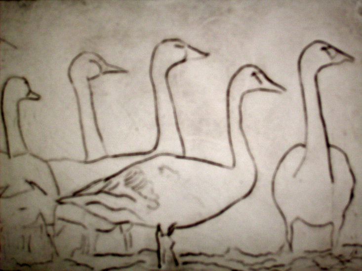 Geese