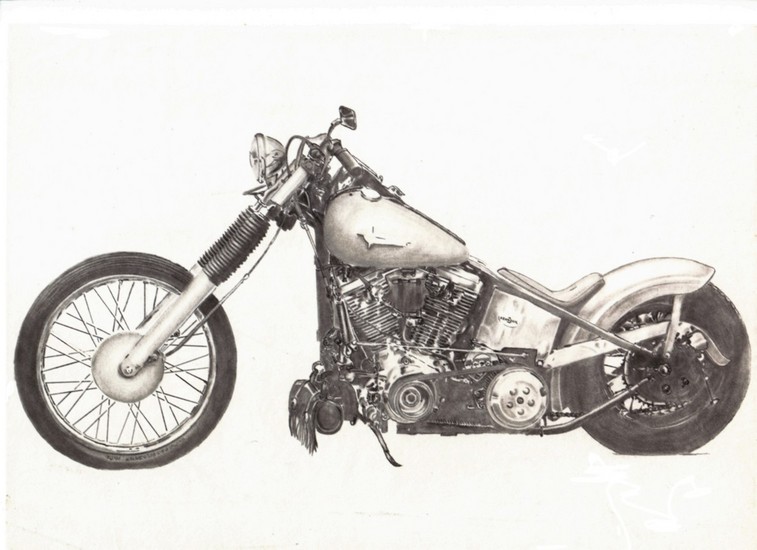 hardtail 2