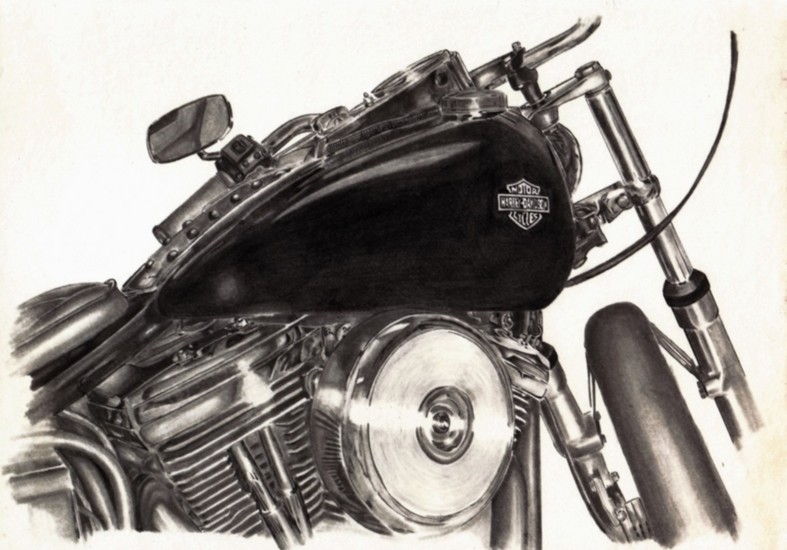 harley snapshot 2