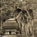 Cemetaries, graveyards and crypts