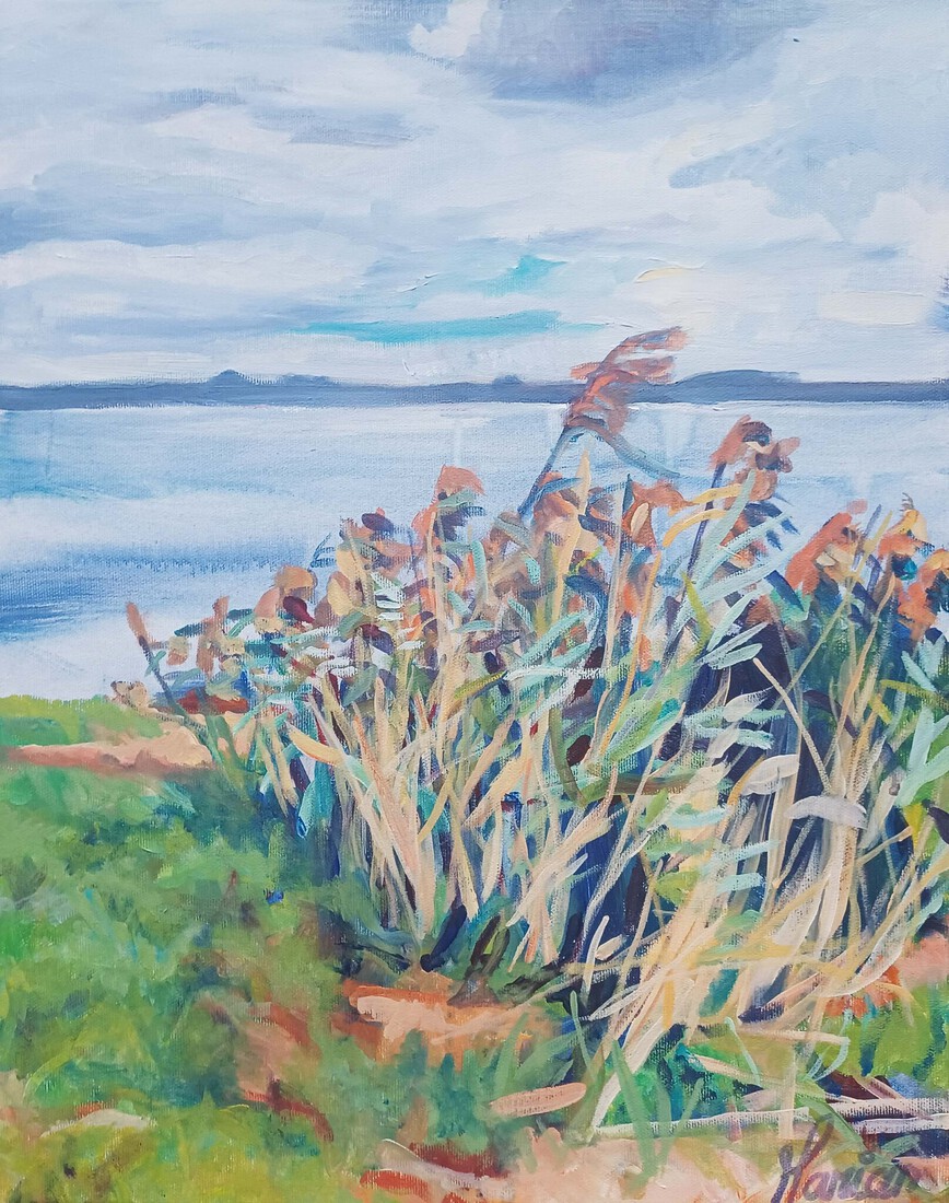 Gooimeer, Huizen