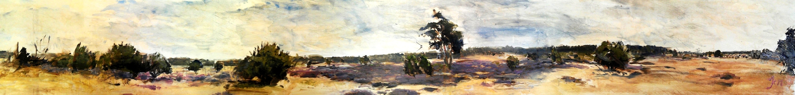 Kootwijkerzand Heide