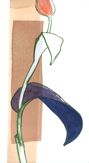 De lange tulp