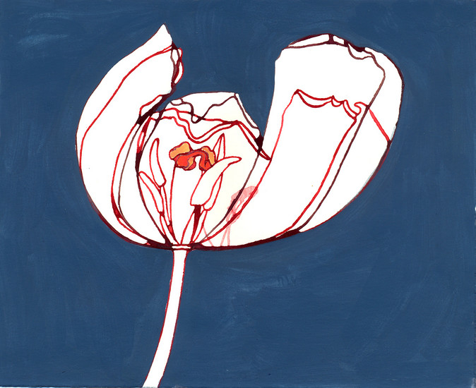 Tulp op blauwe achtergrond