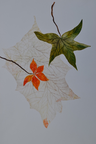 Feuiles VI