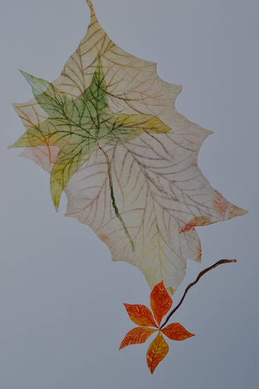 Feuilles VIII