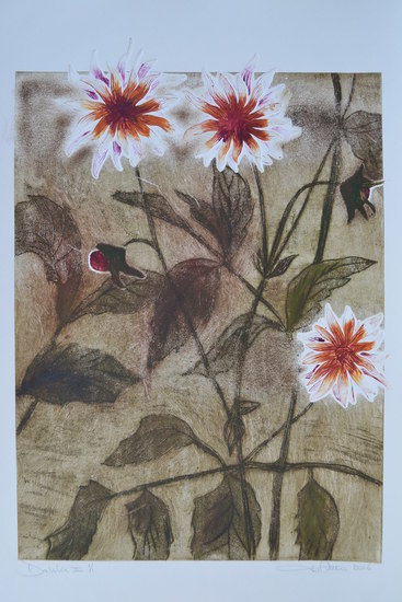 Dahlia II